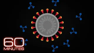 How do coronavirus variants form and will the current vaccines work against them?