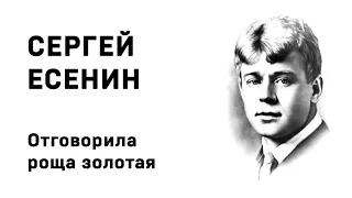 Сергей Есенин Отговорила роща золотая Учить стихи легко Аудио Стихи Слушать Онлайн