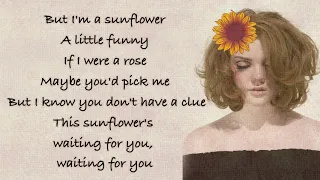 Sunflower - Shannon Purser (Sierra Burgess is a Loser OST) [Full HD] lyrics