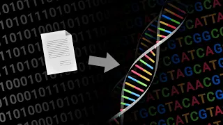 Comment stocker des fichiers sur de l'ADN ?