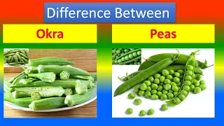 Difference Between Medical and Health benefits of  Okra  and Peas