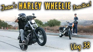 Juan's Harley-Davidson Wheelie Progress! - Vlog 38