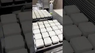 Customer making Bath Bombs with Custom Logo using B-49 Multi Press Bath Bomb Machine.