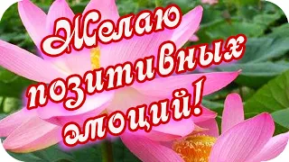 С Добрым утром!🌸 Желаю позитивных эмоций и отличного настроения!🌸Good morning!🌸