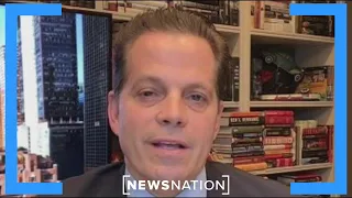 ‘New York is not going to move’ for Trump: Scaramucci | Morning in America