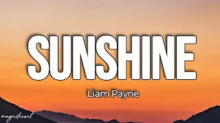 Liam Payne - Sunshine (Lyrics) [From the Motion Picture "Ron's Gone Wrong"]