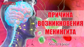 Менингит причины