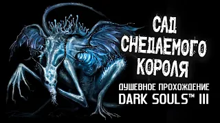 Ностальгия по DS3 (часть 14). Сад Снедаемого короля.