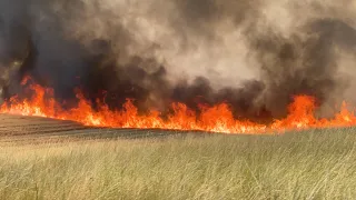 Wheat Fire on Foothill Road in Moscow, Idaho | Moscow Report