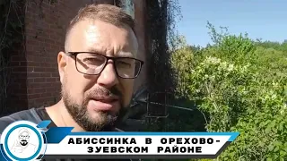 удивительно чистая вода в Орехово-Зуево на первых песках!