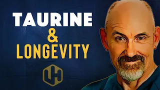 TAURINE: A Powerful Tool In The War Against Aging? [2023]