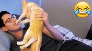 Cats Unexpected Attack On Humans - Funny Cats Attack || PETASTIC 🐾