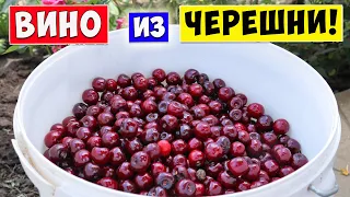 ВИНО из ЧЕРЕШНИ / Простой Рецепт 🍒 Cherry wine