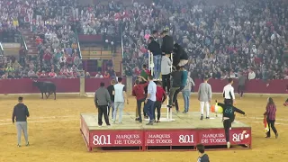 Vaquillas - Fiestas del Pilar 2018 (Zaragoza) II