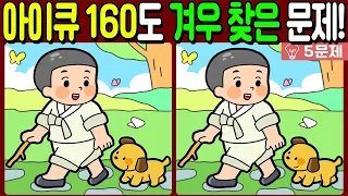 【다른그림찾기/치매예방】🐶아이큐 160도 겨우 찾은 문제!【 find difference / 두뇌운동/3개 찾기/5문제/#674】