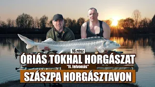 Vadkaland (16.rész) - ÓRIÁS TOKHAL HORGÁSZAT ► SZÁSZPA HORGÁSZTAVON