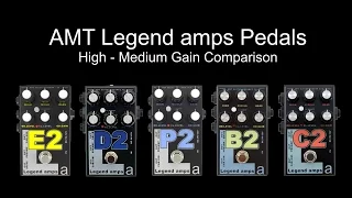 AMT Legend amps E2, D2, P2, B2 & C2 Comparison (High-Medium Gain)