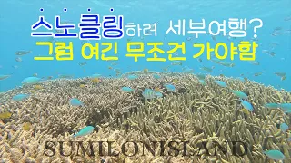 세부여행 스노클링 원탑 수밀론 저렴하게 가는 방법 | EP 5