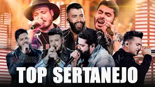 T.O.P SERTANEJO 2021 | As Melhores do ano | Gusttavo Lima, Marilia Mendonca, Henrique e Juliano..TMC