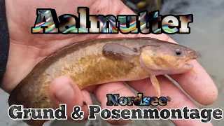 Aalmutter in der Nordsee mit der Posen und Grundmontage | Brandungs angeln Vlog #3