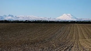 🎼🎷🚚 Турпал Абдулкеримов - Мадина🎼🎷 Абу Бандит