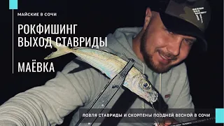 МАЁВКА в СОЧИ🎣 Ставрида пошла! Ловля ставриды и скорпены в Сочи