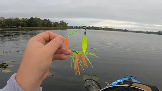 Spinner Bait for Fall MN Pike and Bass