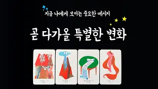 [타로]🔮곧 내가 맞이할 특별한 변화🌪️🌈