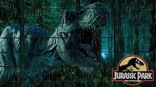 Jurassic Park Horror | Dinosaur Ambience | Jungle Sounds | Night rain, thunder sound in the park
