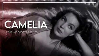 Camelia - idea cinematográfica