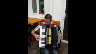 Granica 2016 farfisa accordion