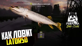 Русская рыбалка 4.🎣 ЩУКА 🦈 оз. Старый Острог - КАК  ЛОВИТ LATORSO...👀