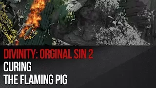 Divinity: Original Sin 2 - Curing the Flaming Pig