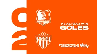 Águilas Doradas vs. Junior (goles) | Liga BetPlay Dimayor 2024- 1 | Fecha 11