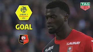 Goal Mbaye NIANG (16') / Stade Rennais FC - LOSC (3-1) (SRFC-LOSC) / 2018-19