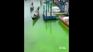Venice's Grand Canal turning bright green revealed