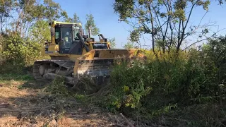 Корчування садів , пнів, дерев та розліснення полів бульдозером  Komatsu , CAT з викорчовувачем