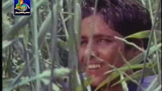 PEDAR PART 01 | URDU MORAL MOVIE