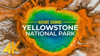 Amazing Yellowstone National Park - 4K Nature Film about American National Wonder with Nature Sounds