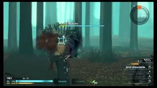 FINAL FANTASY TYPE-0 HD Molboro lvl 99