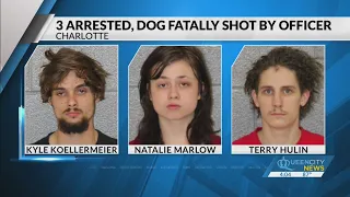 3 arrested, dog fatally shot by officer in barricade situation