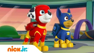 Saving Apollo the Super Pup! | PAW Patrol | Nick Jr.