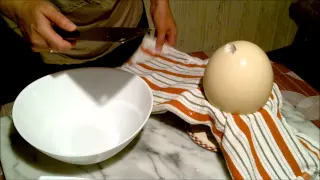 How to open an ostrich egg