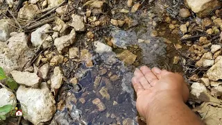 SEMBRAMOS AGUA Y AHORA NO DEJA DE BROTAR MUCHA AGUA DEBAJO DE LA TIERRA. Siembra de agua parte 2