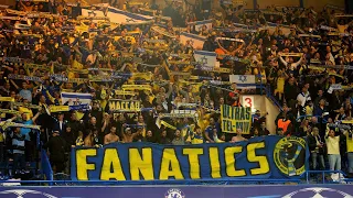 MACCABI TEL AVIV ULTRAS | GATE 11 MACCABI FANATICS | ISRAEL