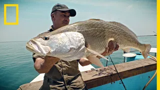 Οι Τελευταίοι Γίγαντες 3 | Νέος Κύκλος Trailer | National Geographic Greece