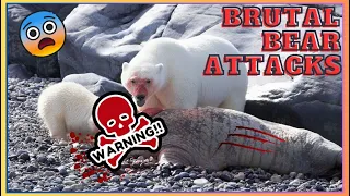 12 Shocking Bear Attacks on Wildlife: Natures Brutal Side Unleashed! #joerogan #meateater #grizzlies