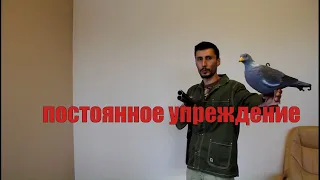 Охотничья техника стрельбы в "постоянное упреждение"