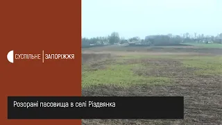 Новини - Розорані пасовища в селі Різдвянка (21.01.2020)