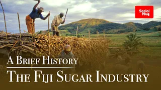 The Fiji Sugar Industry - A Brief History